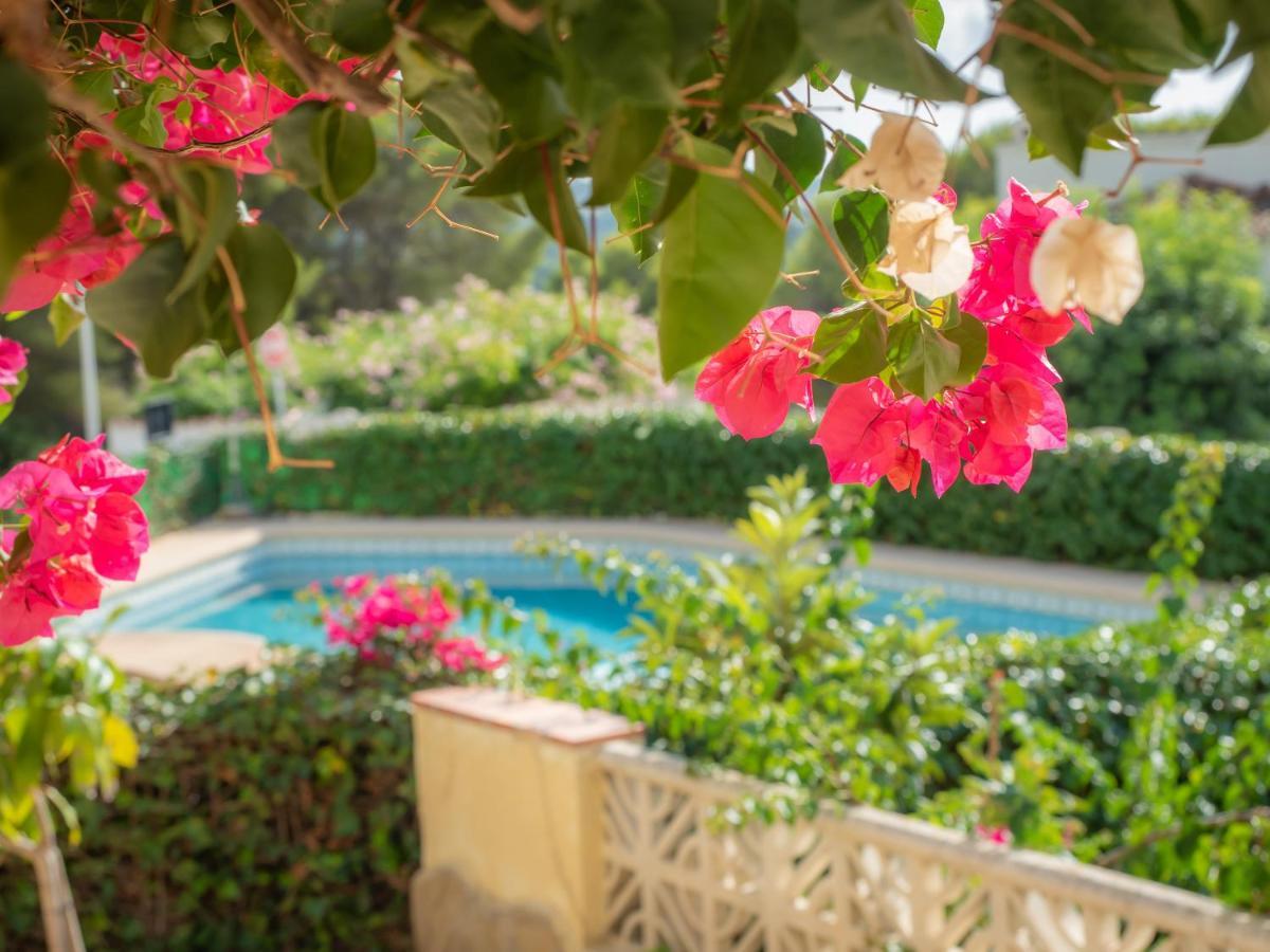 Authentic Groundfloor Apartment In Beautiful Villa, Хавеа Экстерьер фото
